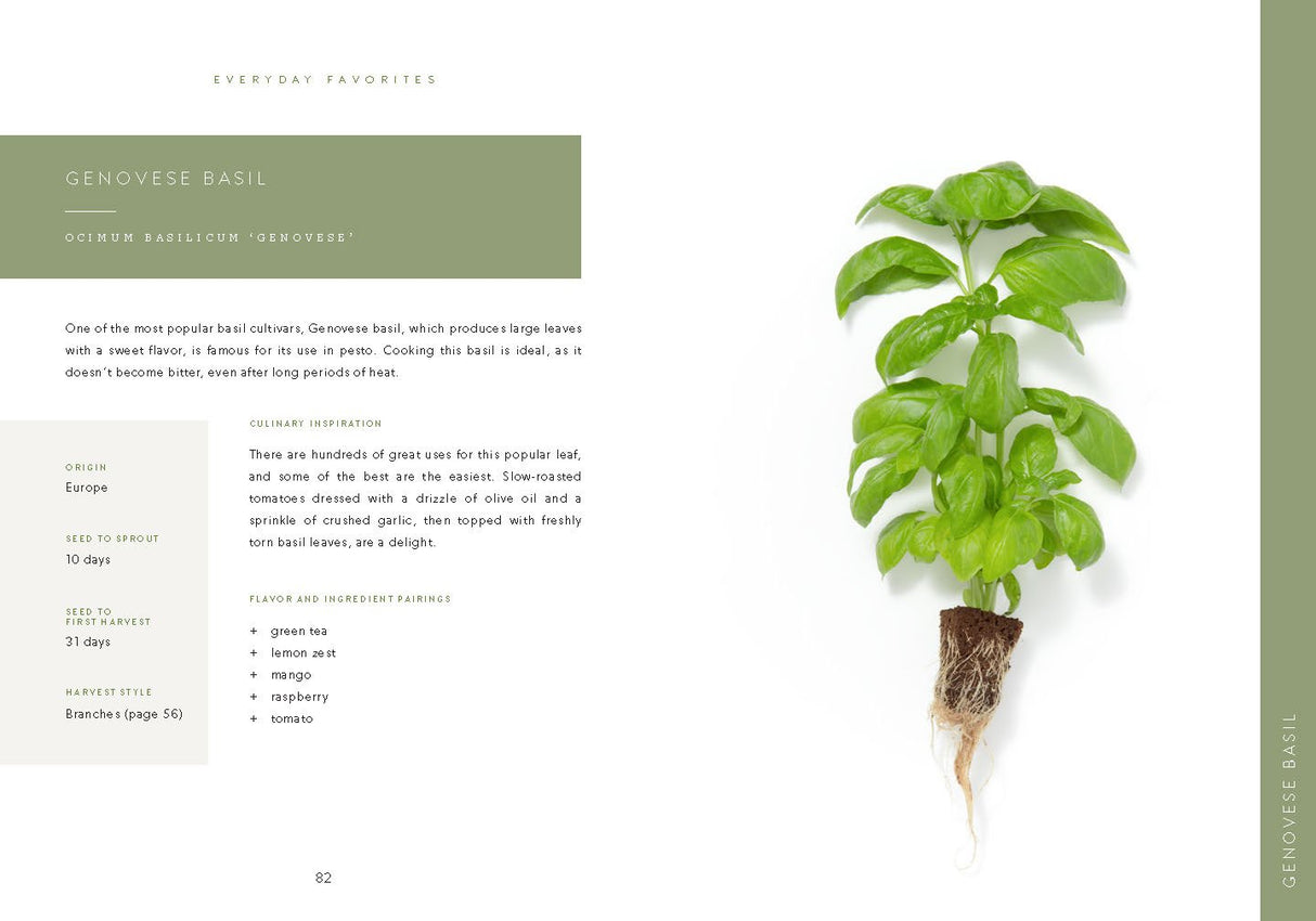 W&P Ditch the Dirt Book