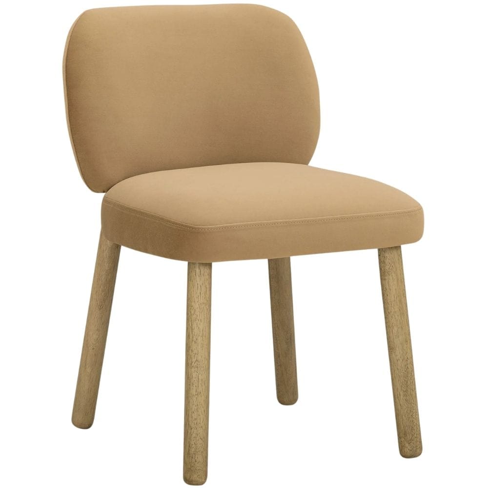 Roxy Dining Chair Dining Chairs + Benches TOV-D55100 793580657817