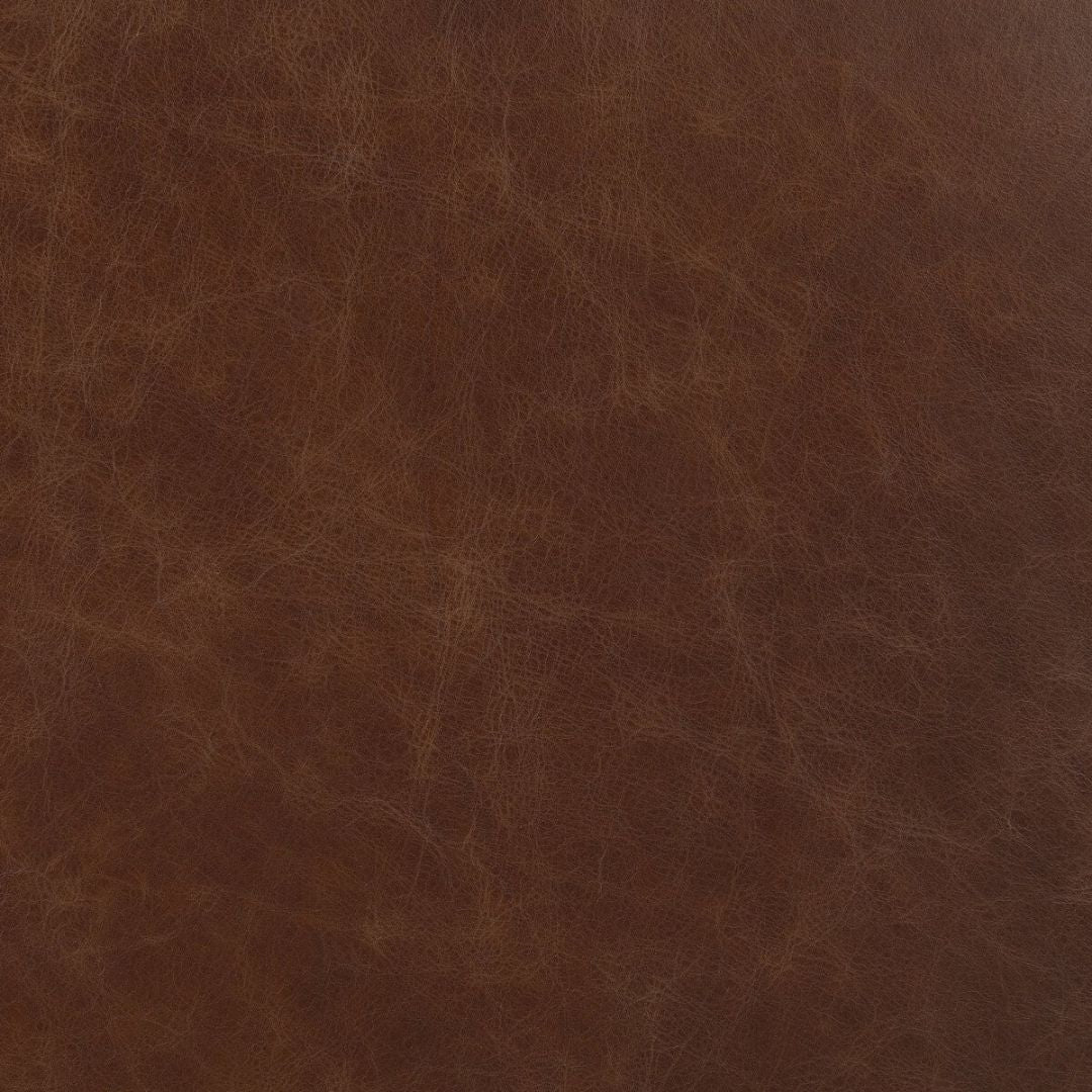 Jazelle Bar + Counter