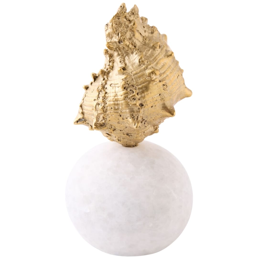 Kings Crown Shell Sculpture Sculptural Objects 883400