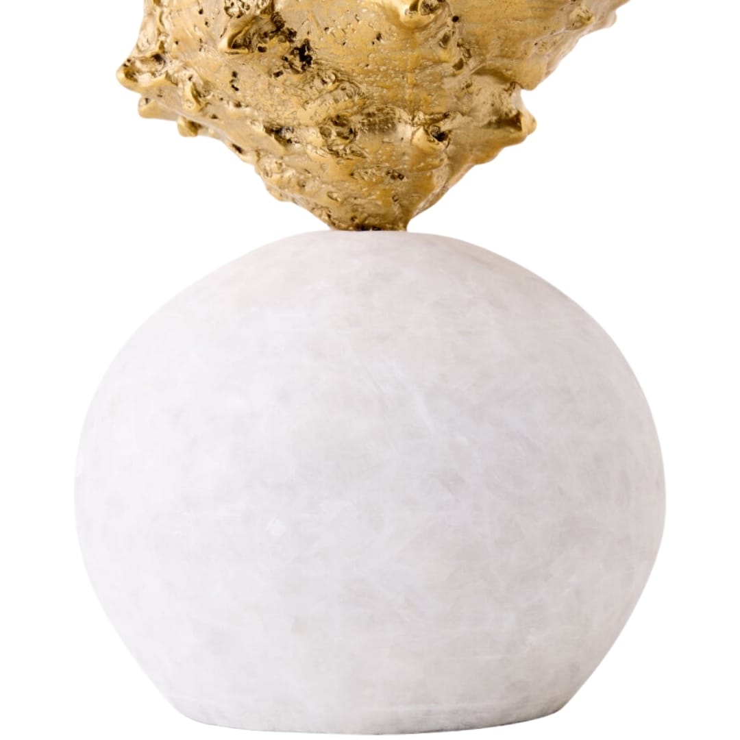 Kings Crown Shell Sculpture Sculptural Objects 883400