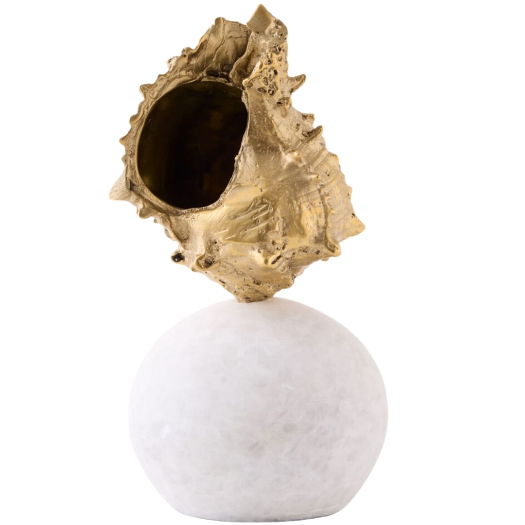 Kings Crown Shell Sculpture Sculptural Objects 883400