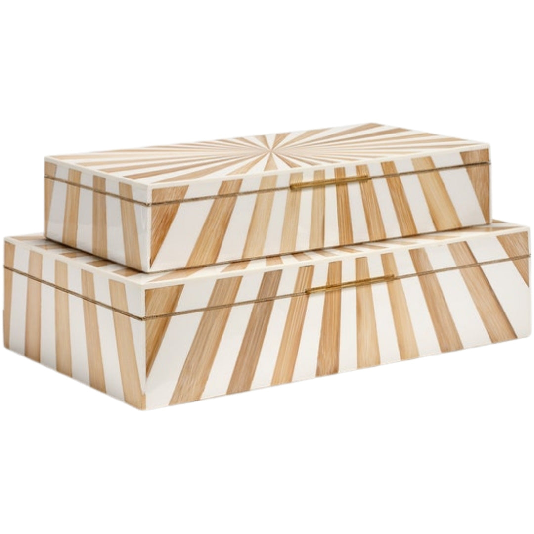 Madden Box Set (Set of 2)