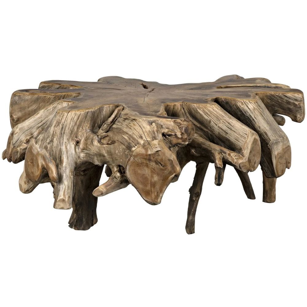 Teak Root Coffee Table Coffee Tables TEAK101 00842449112926