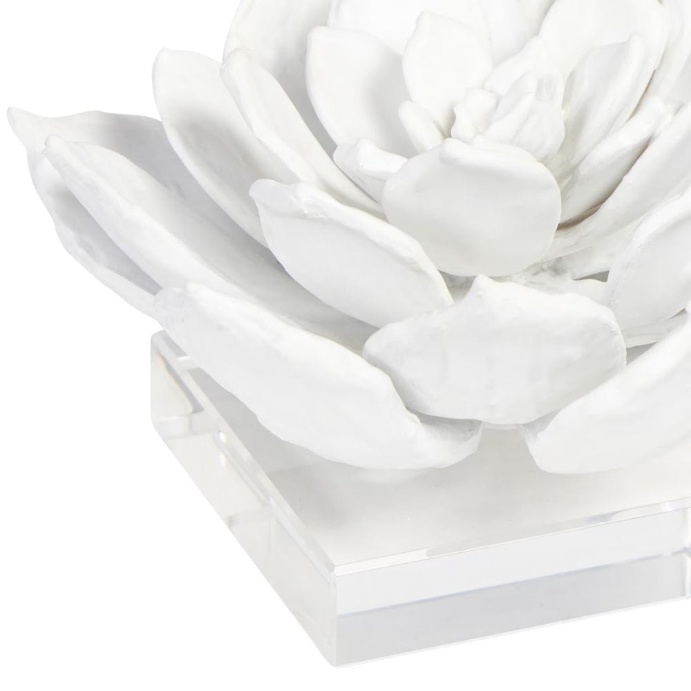 Succulent Sculpture Sculptural Objects