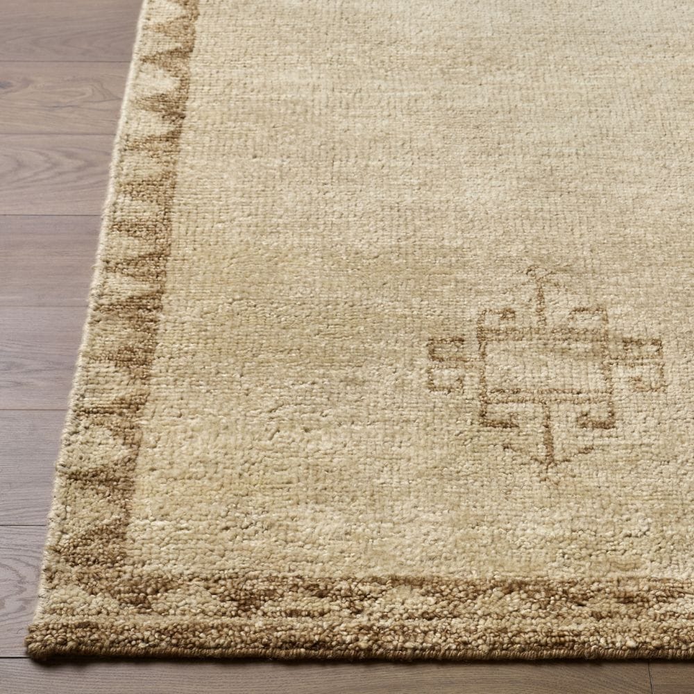 Alara Rug Area Rugs