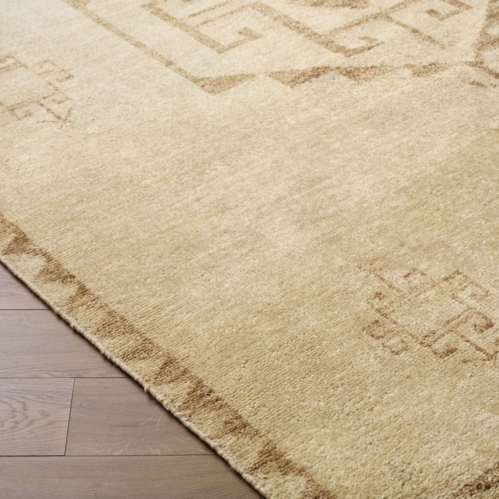 Alara Rug Area Rugs