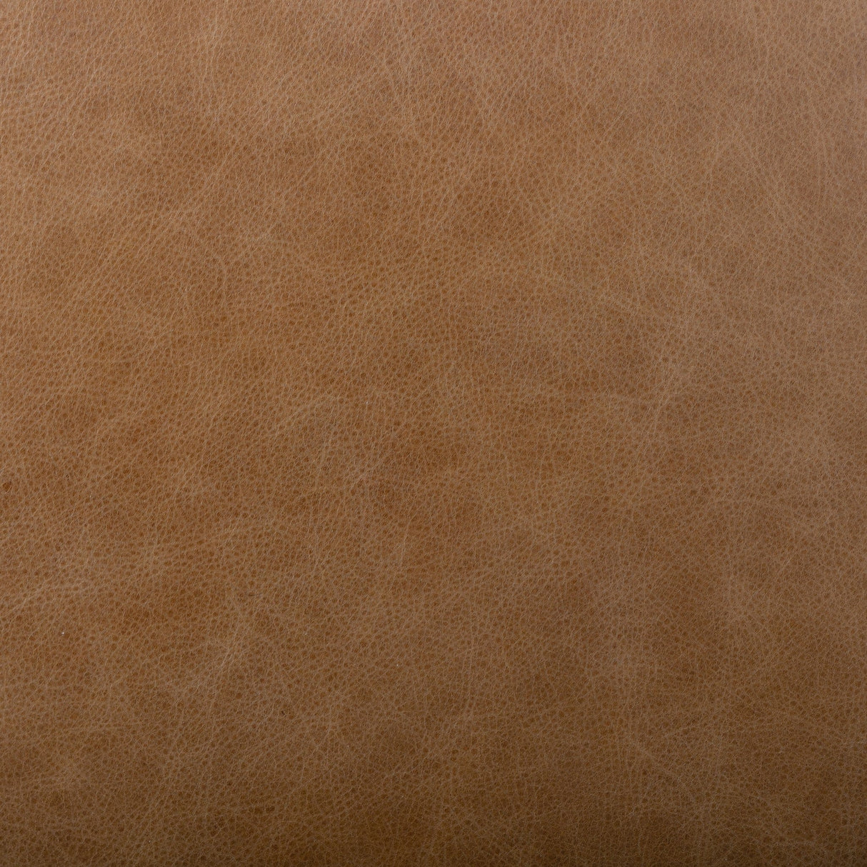 Abilene Dining Chair Dining Chair