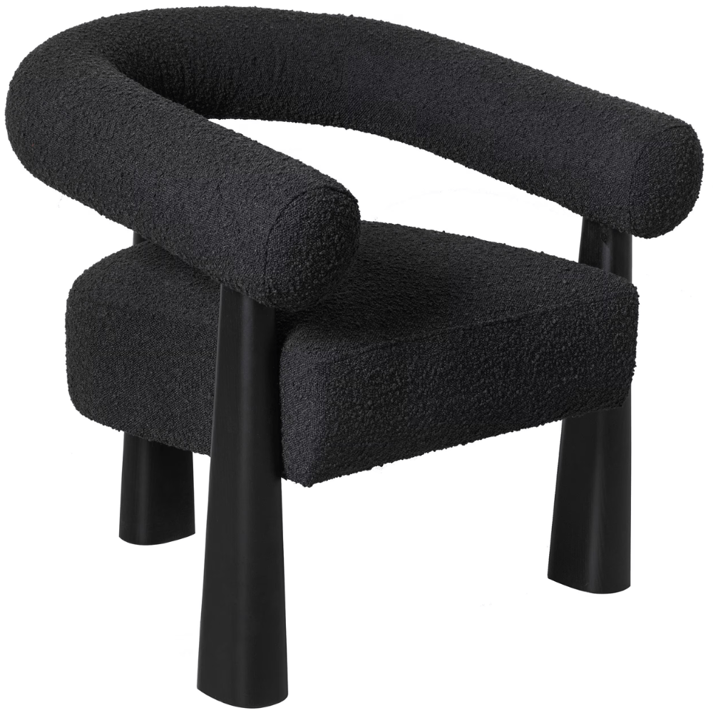 Aksel Accent Chair Accent Chair TOV-S69003 793580635013