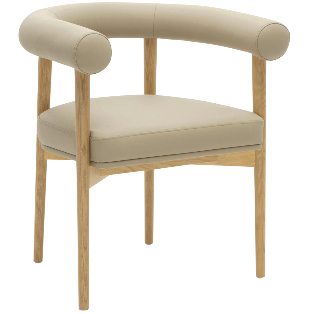 Aksel Dining Chair Dining Chair TOV-D69296 793580641571