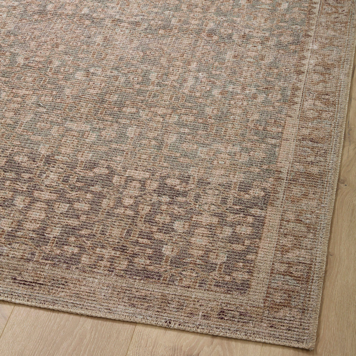 Angela Rose x Loloi Aubrey Rug Rugs