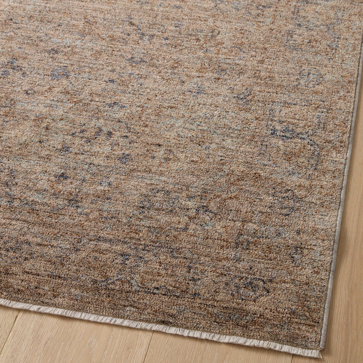 Angela Rose x Loloi Blake Rug Rugs