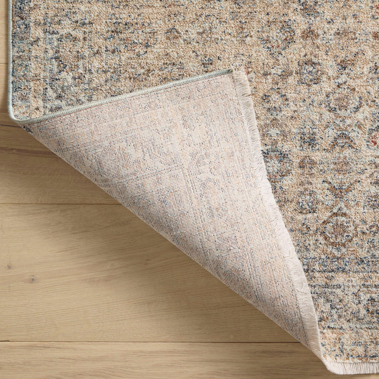 Angela Rose x Loloi Blake Rug Rugs