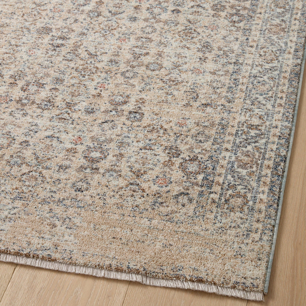 Angela Rose x Loloi Blake Rug Rugs