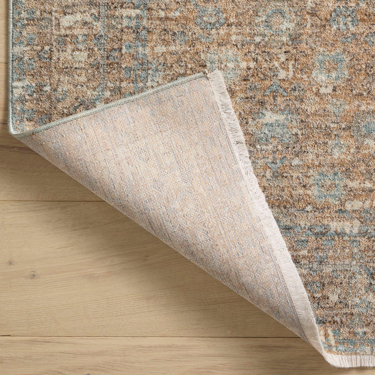 Angela Rose x Loloi Blake Rug Rugs