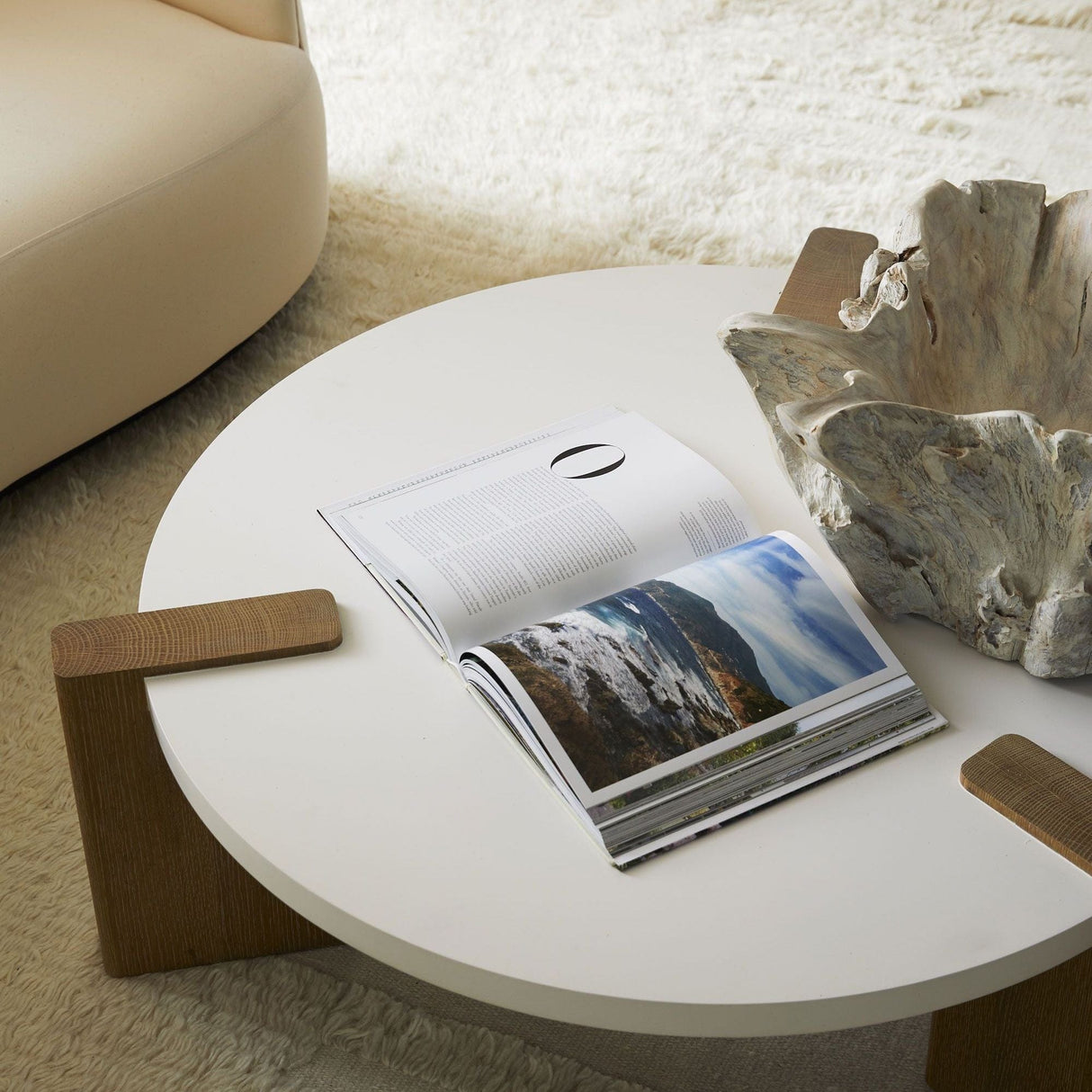 Arteriors Nantucket Driftwood Bowl Pillow & Decor Arteriors-5410 00796505071293