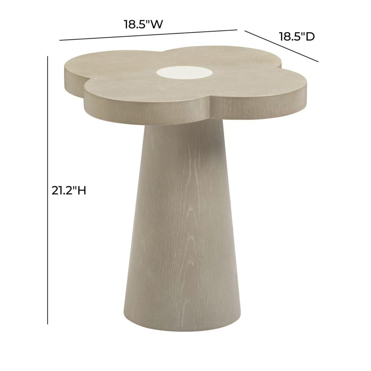 Atrium Washed Ash Side Table Side Table TOV-OC69350