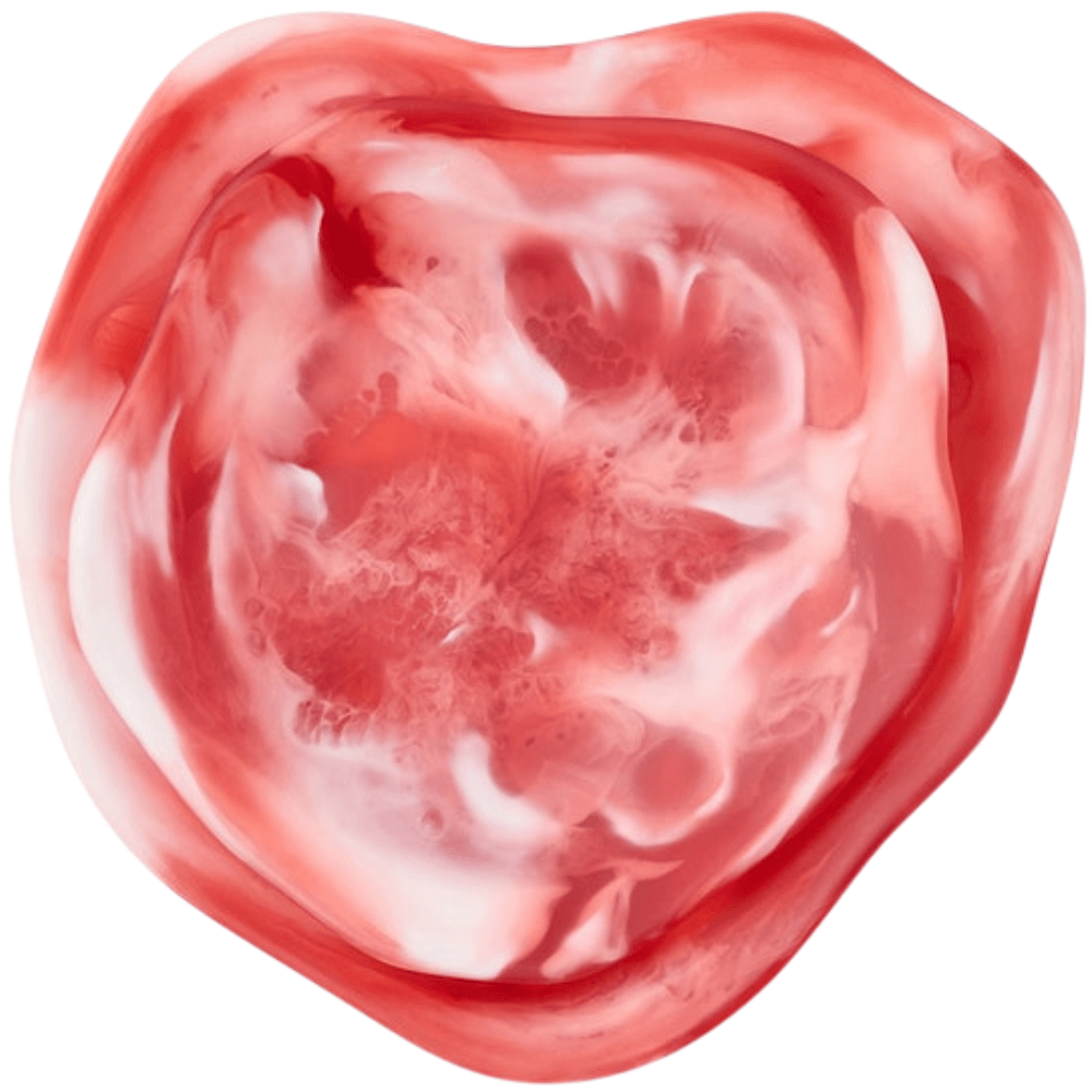 Beatrix Serving Trays (Set of 2) Serveware