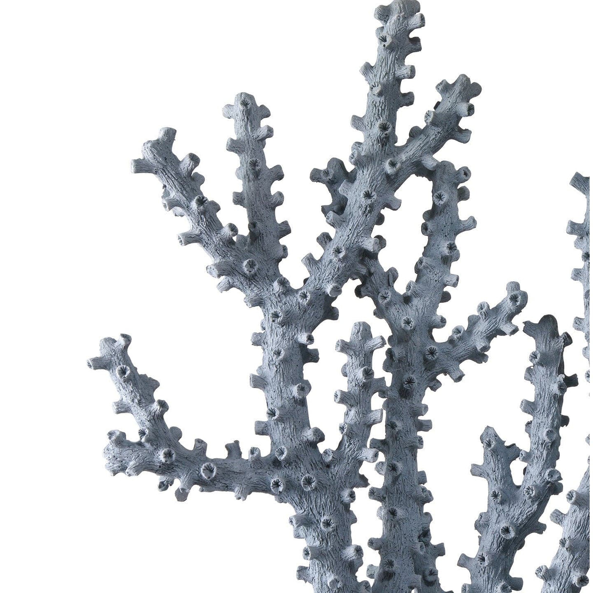 Blue Coral Set of 2 Decor 1200-0797