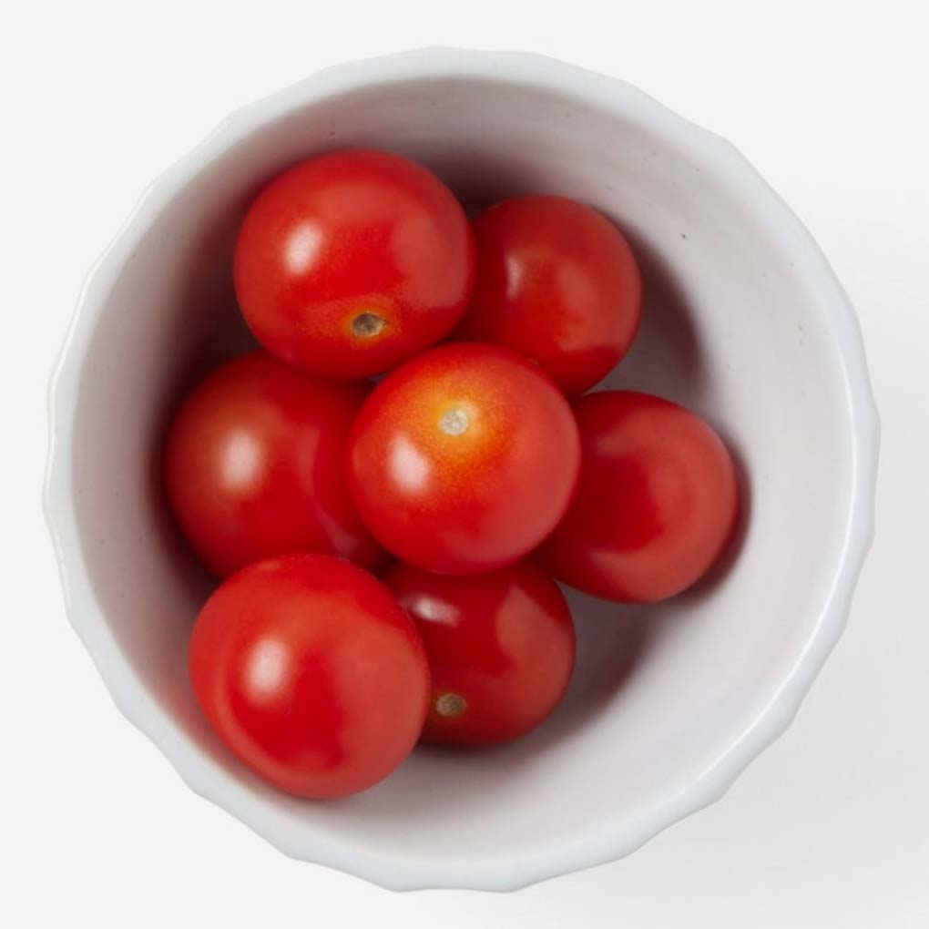 Blue Pheasant Nathalie Matte White Scallop Design Serving Bowl (Pack of 4) Plates blue-pheasant-BP004743