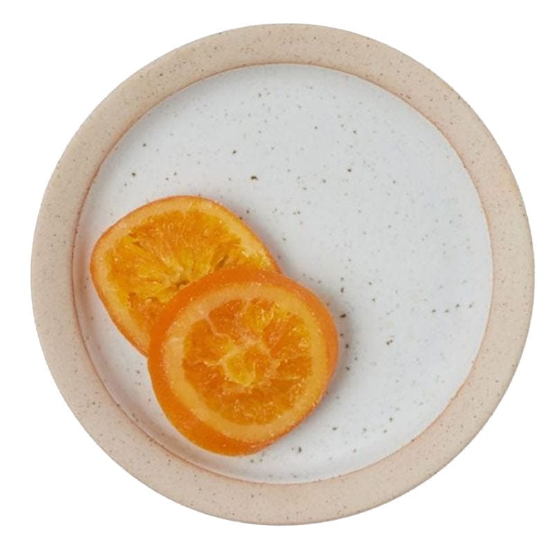 Blue Pheasant Rivka Dinnerware (Pack of 4) Teal Tabletop