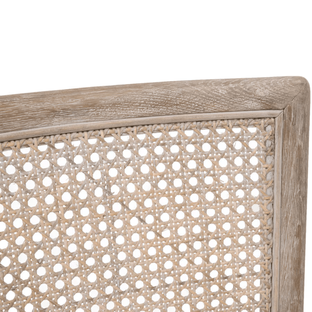 Blume Dining Chair (Set of 2) Dining Chair 6663.TXCRM/NG 842279146764