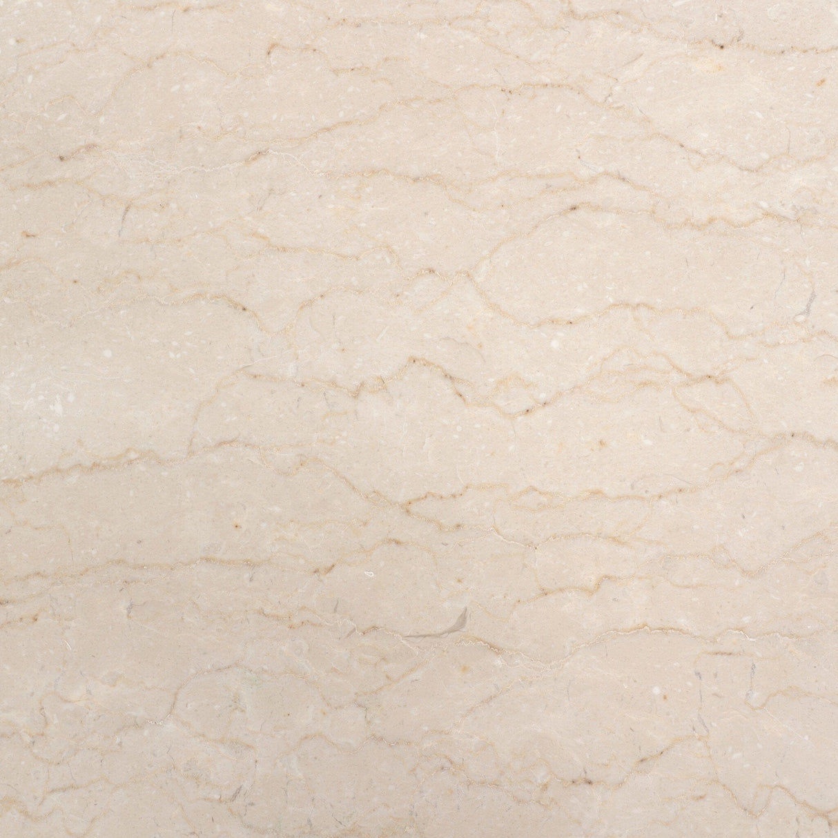 Boa Chest Chest 249214-001 198394080866