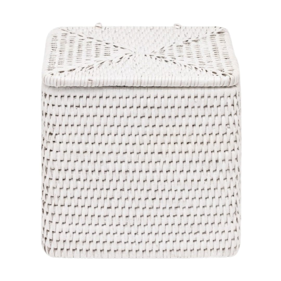 Camden Toilet Paper Holder Bath Accessories 01CAM-WH-TPSSSG