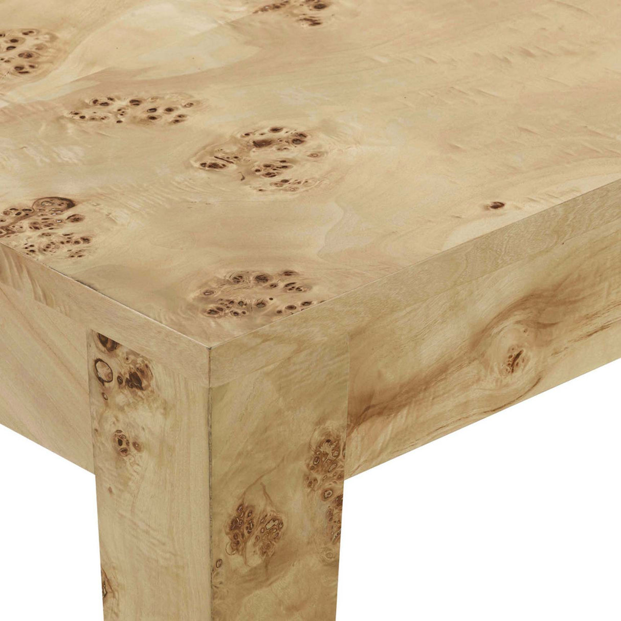 Candelabra Home Brandyss Natural Burl Rectangular Dining Table Dining Tables TOV-D54287