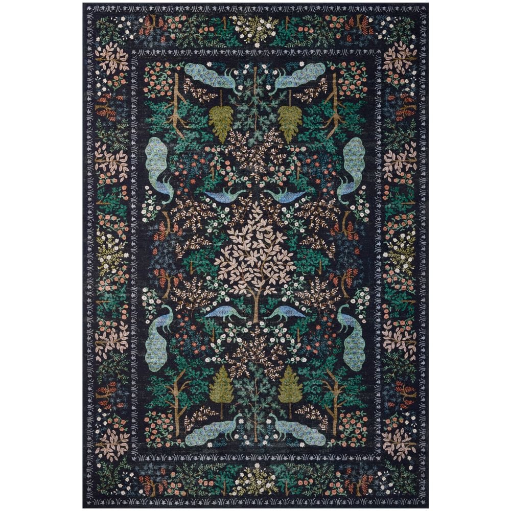 Canopy Rug Area Rug CNPYCNP-05CC002030 885369833755