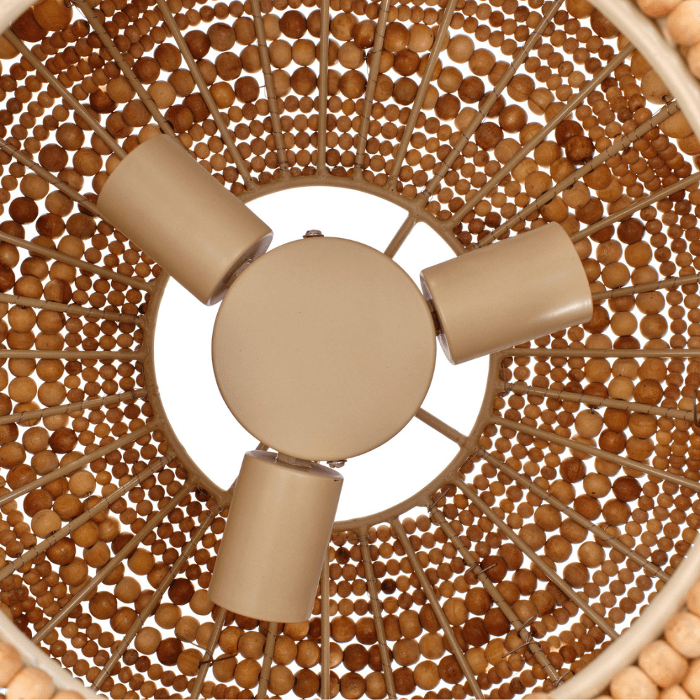 Clamshell Chandelier Chandelier