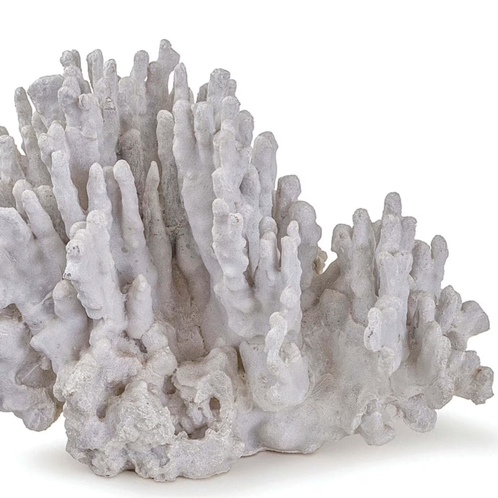 Coral Art Piece Decorative Object