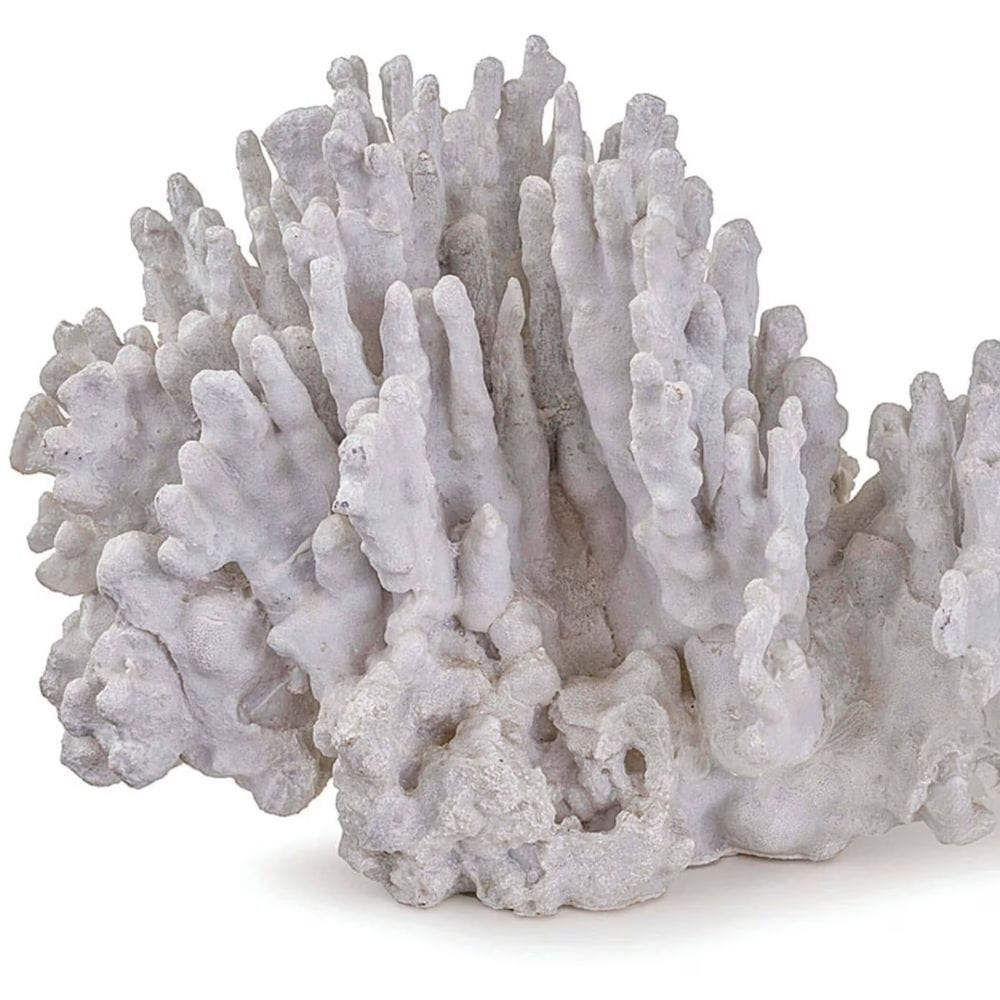Coral Art Piece Decorative Object