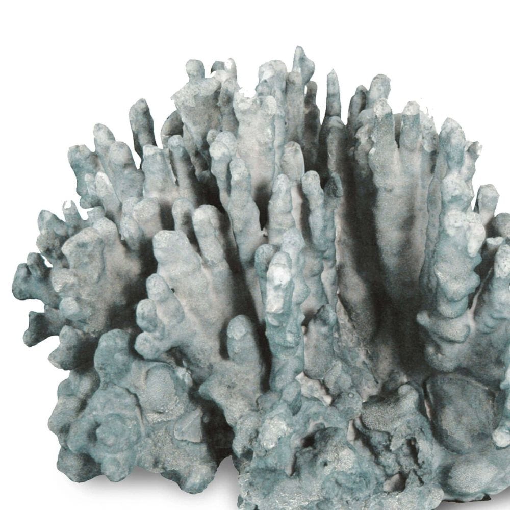 Coral Art Piece Decorative Object