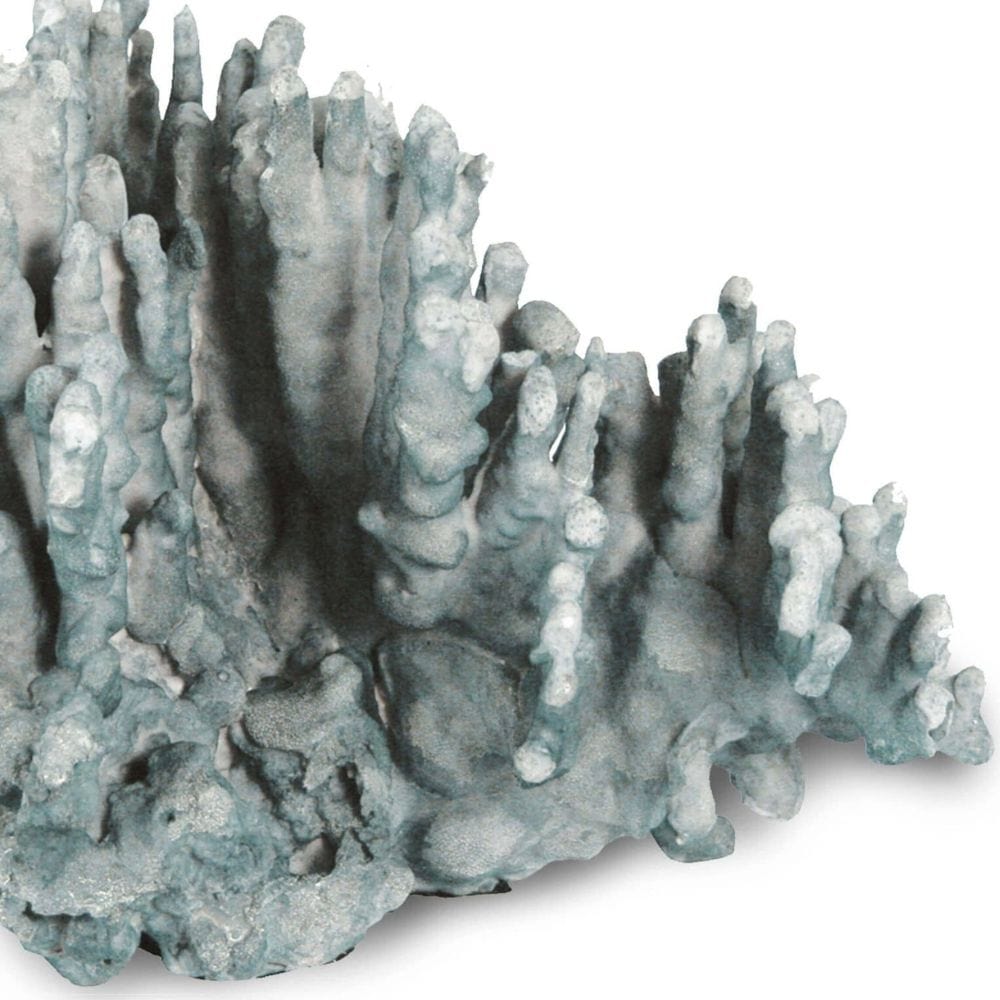 Coral Art Piece Decorative Object