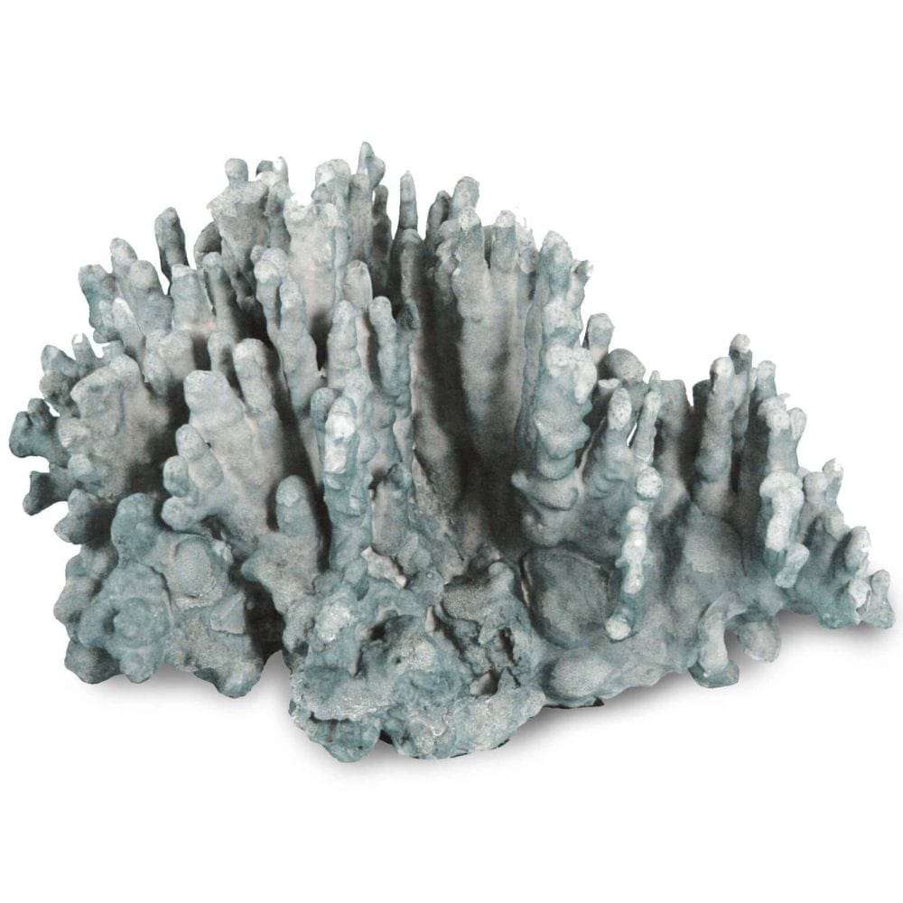 Coral Art Piece Decorative Object 20-1004 844717000171