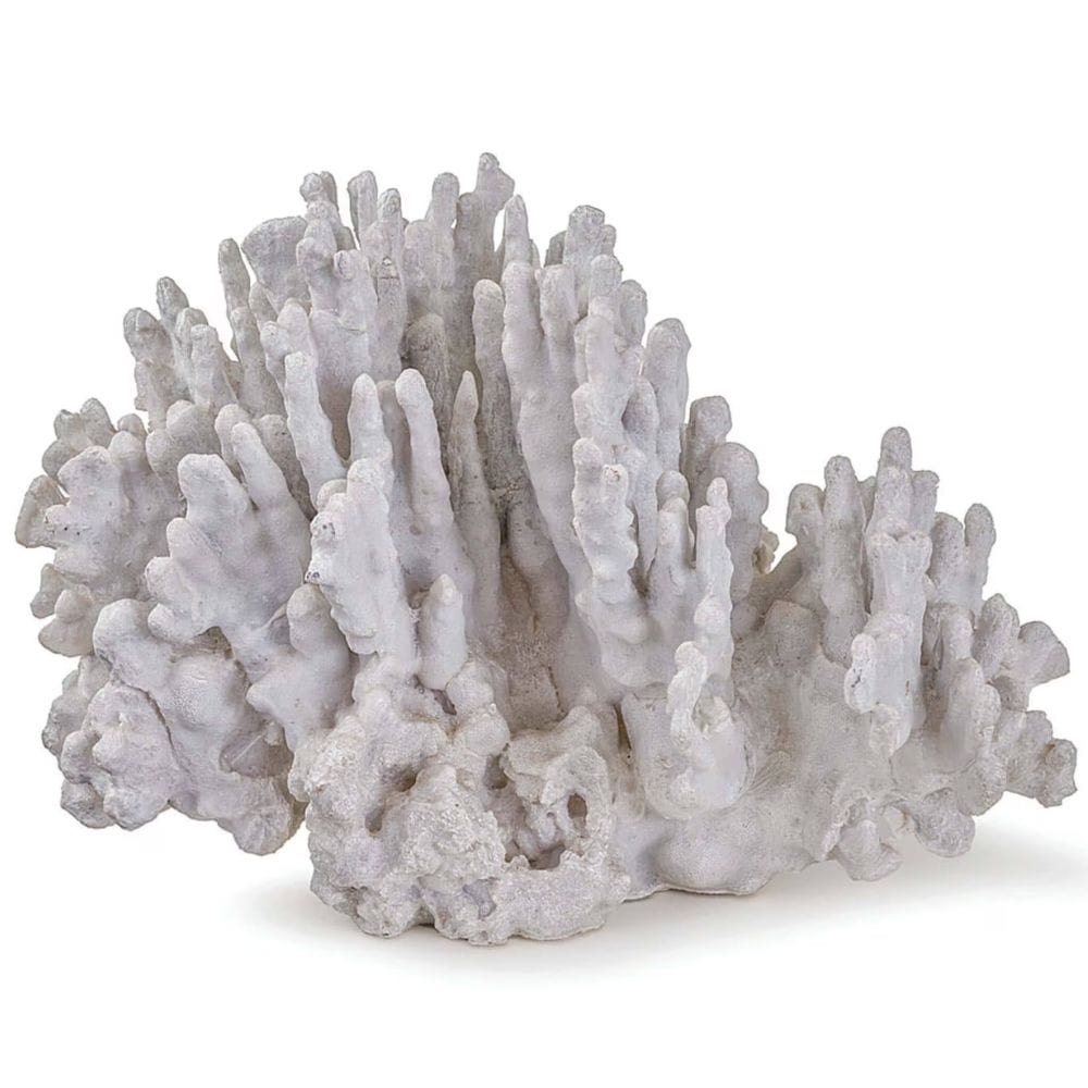 Coral Art Piece Decorative Object 20-1005 844717000188