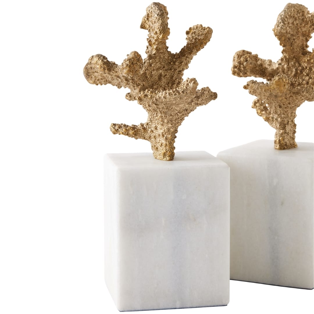 Coral Sculptures (Set of 2) Sculptural Objects 883297