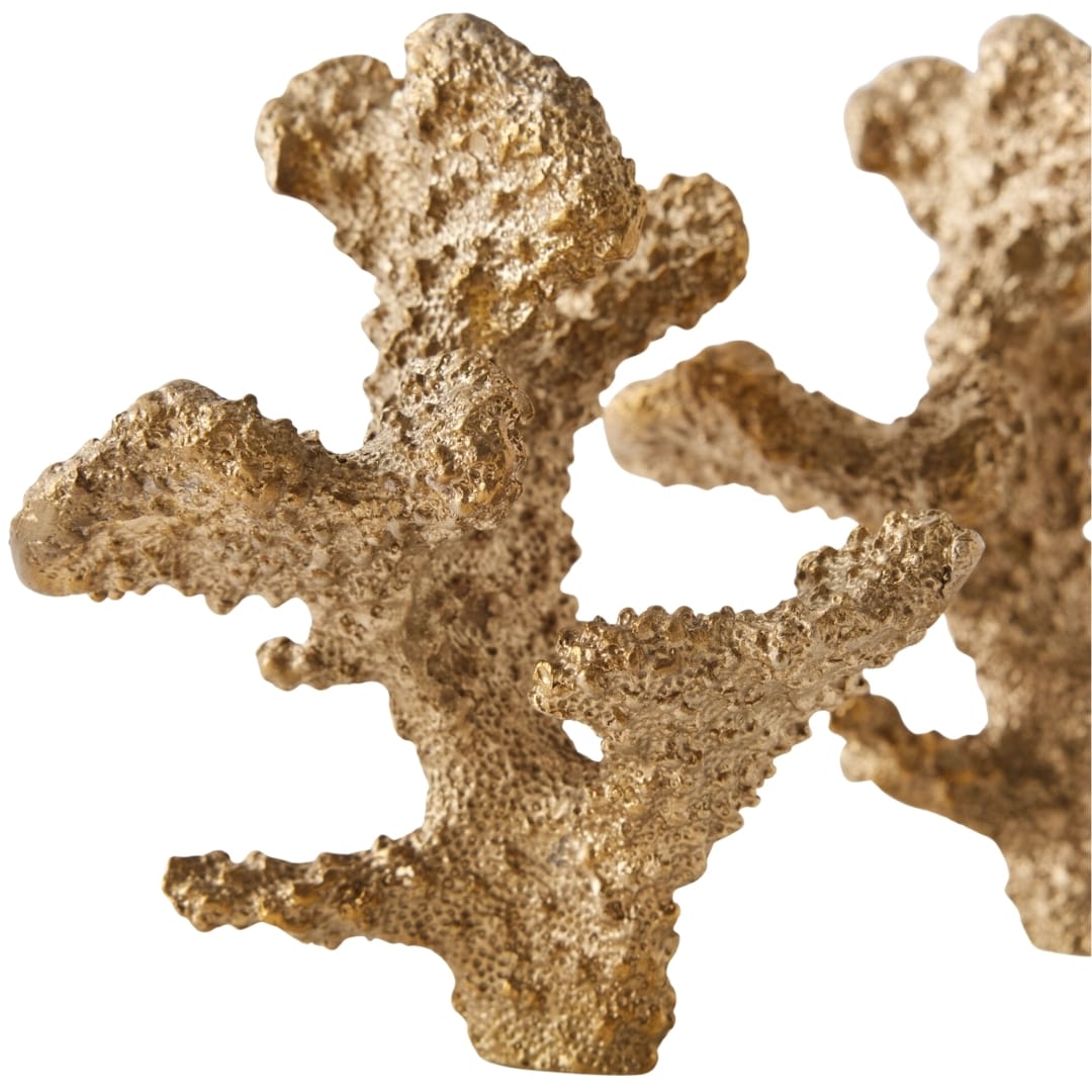 Coral Sculptures (Set of 2) Sculptural Objects 883297