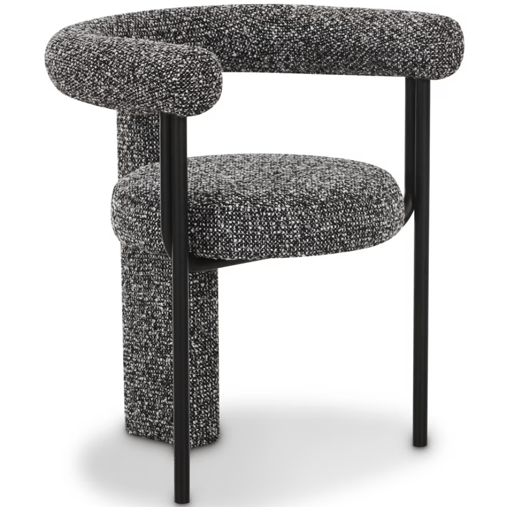 Coryn Dining Chair Dining Chair TOV-D69258