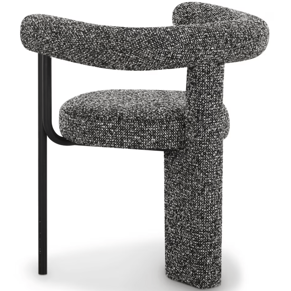 Coryn Dining Chair Dining Chair TOV-D69258