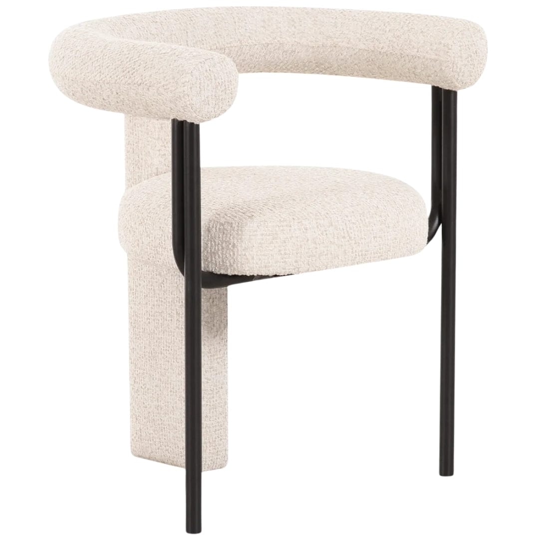 Coryn Dining Chair Dining Chairs + Benches TOV-D54736 793580648587