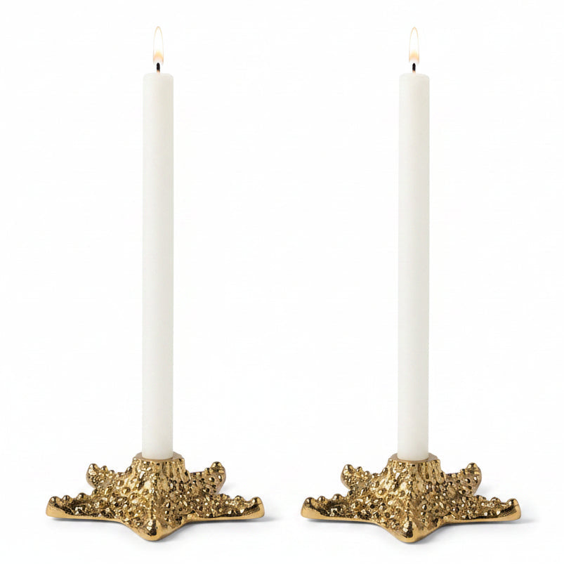 Cosima Candle Holder (Pack of 2) Candleholders BP006378 08415971060847