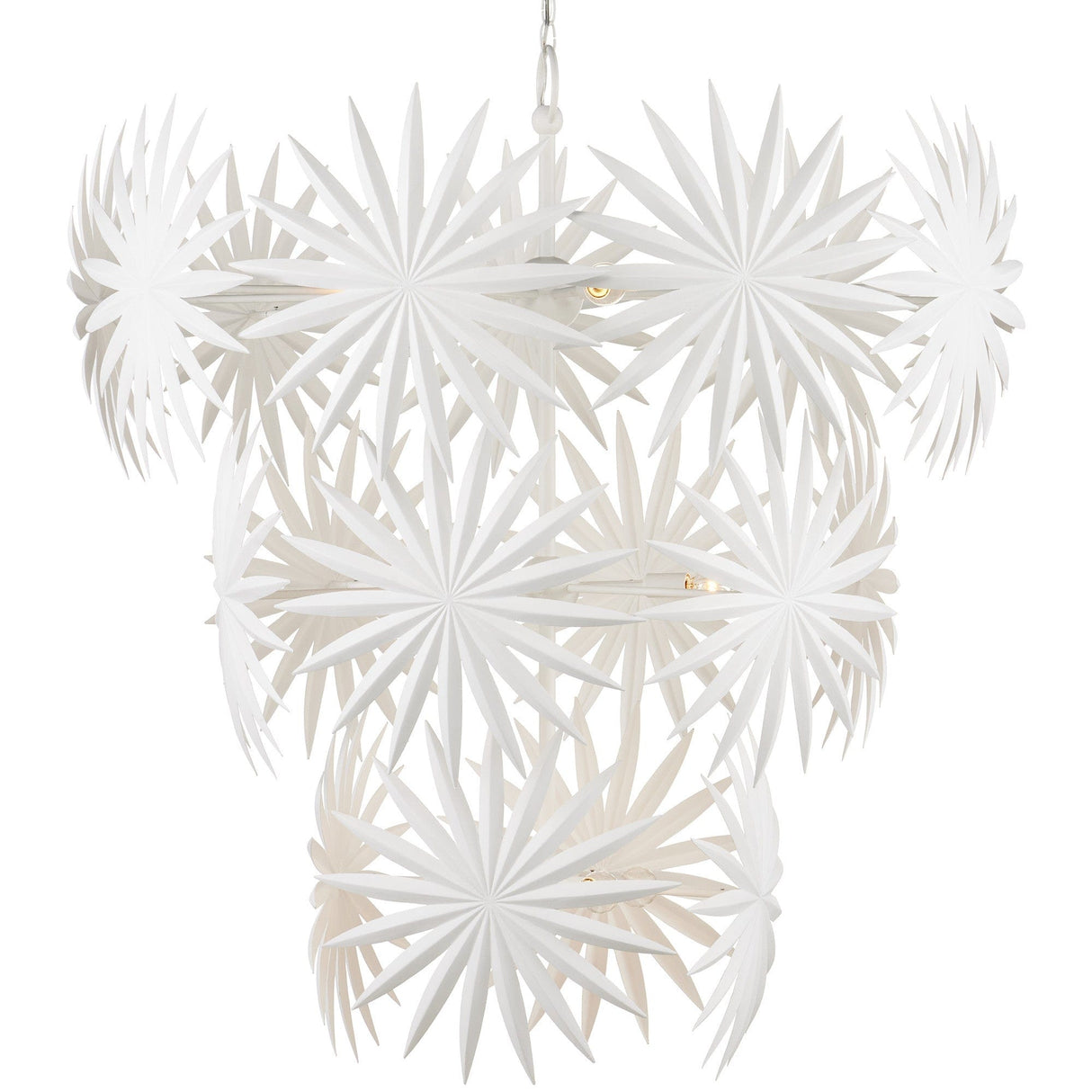 Currey & Company Bismarkia Large Chandelier Lighting currey-co-9000-1114 633306053625