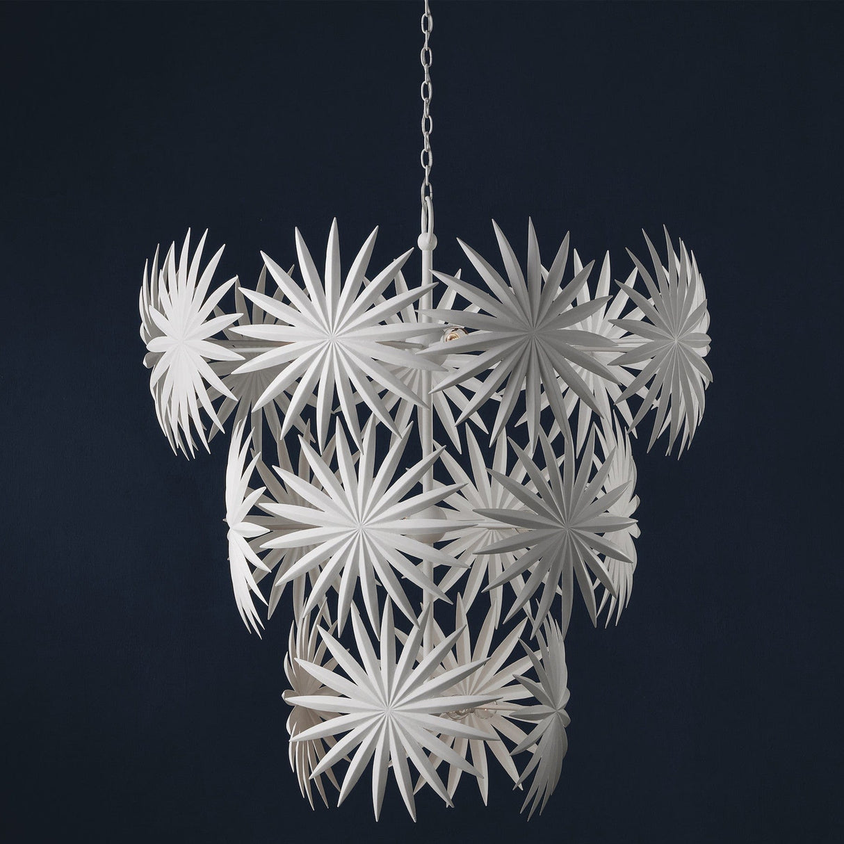 Currey & Company Bismarkia Large Chandelier Lighting currey-co-9000-1114 633306053625