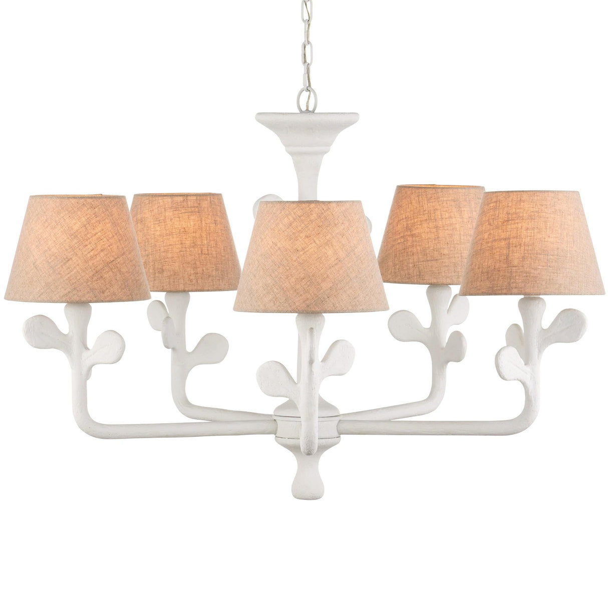 Currey & Company Charny Chandelier Chandeliers currey-co-9000-1169 633306055698