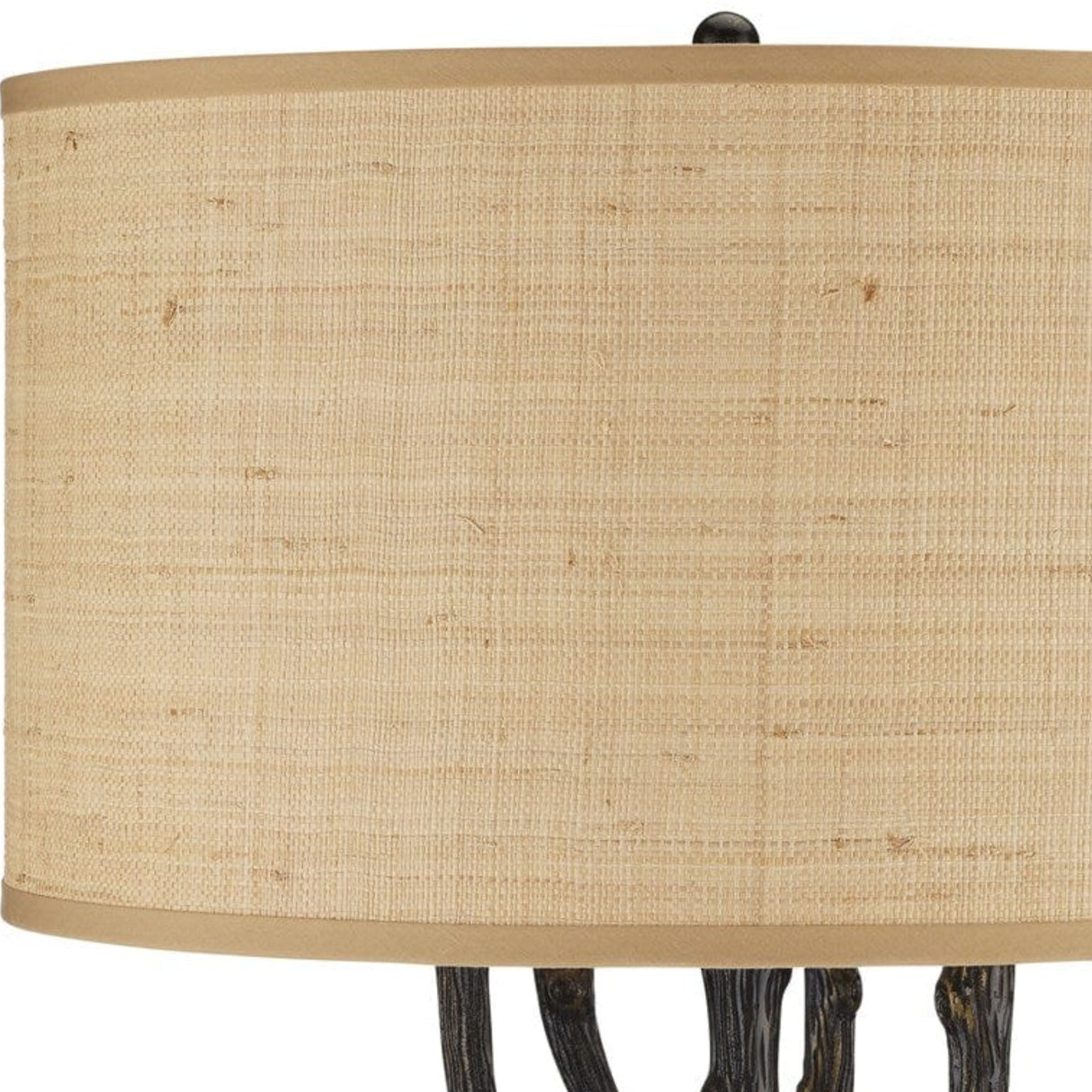 Currey & Company Mangrove Bronze Floor Lamp Floor Lamp 8000-0142