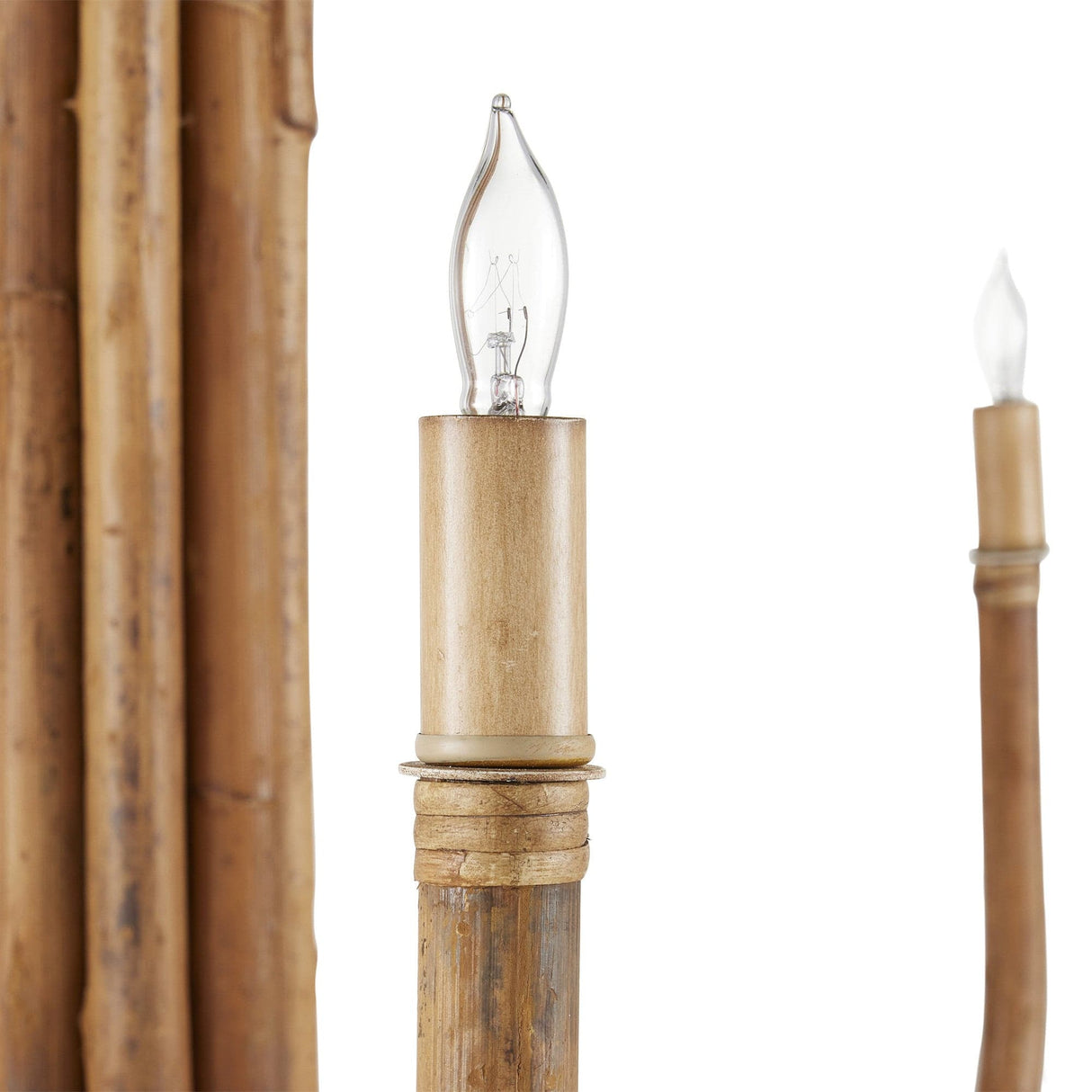 Currey & Company Samsara Chandelier Lighting currey-co-9000-1085 633306053335