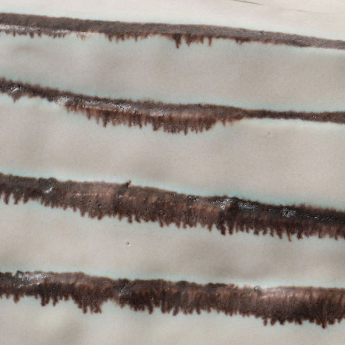 Curvature Vessel Vases + Urns 7CURV-VEBR