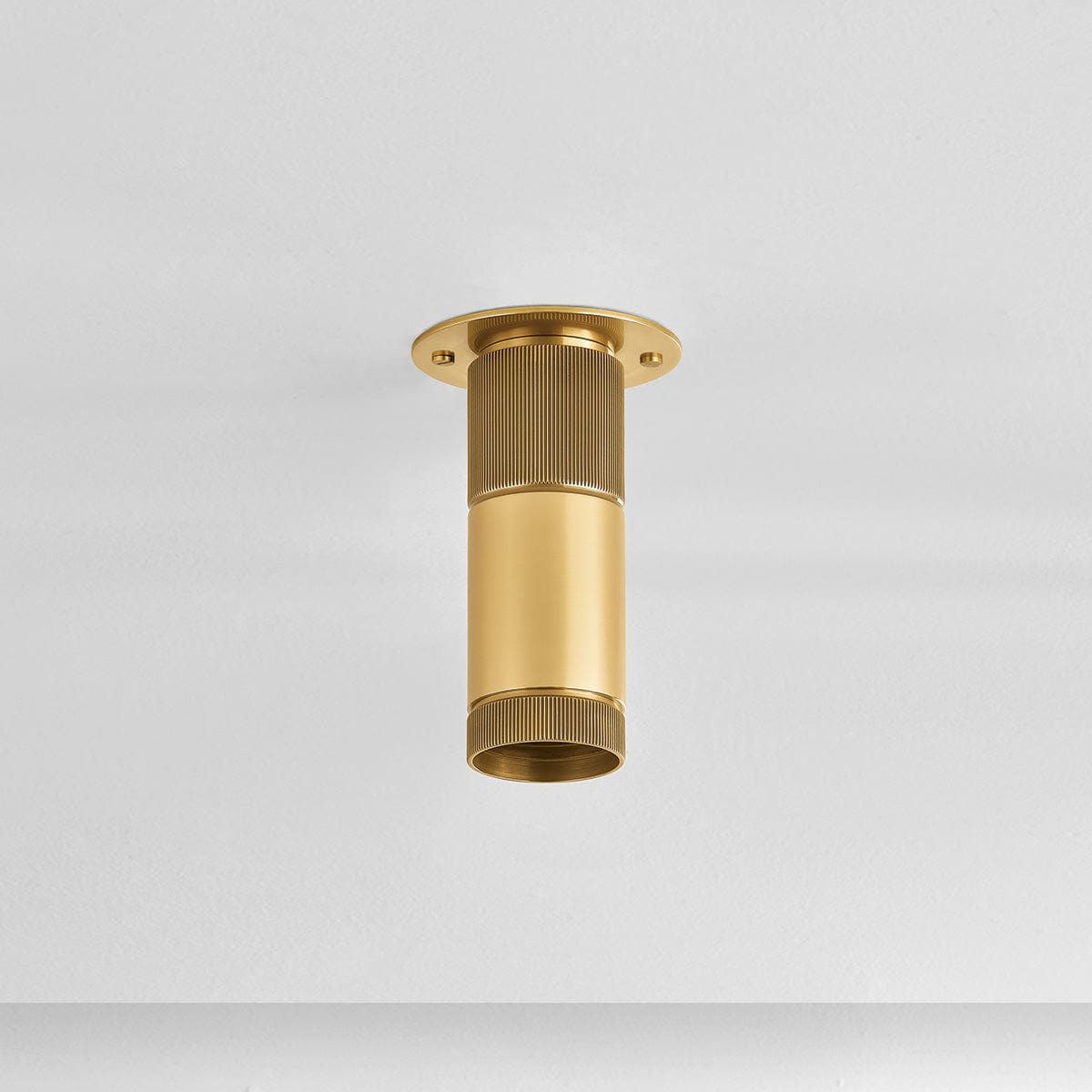 Dighton Flush Mount Flush Mount